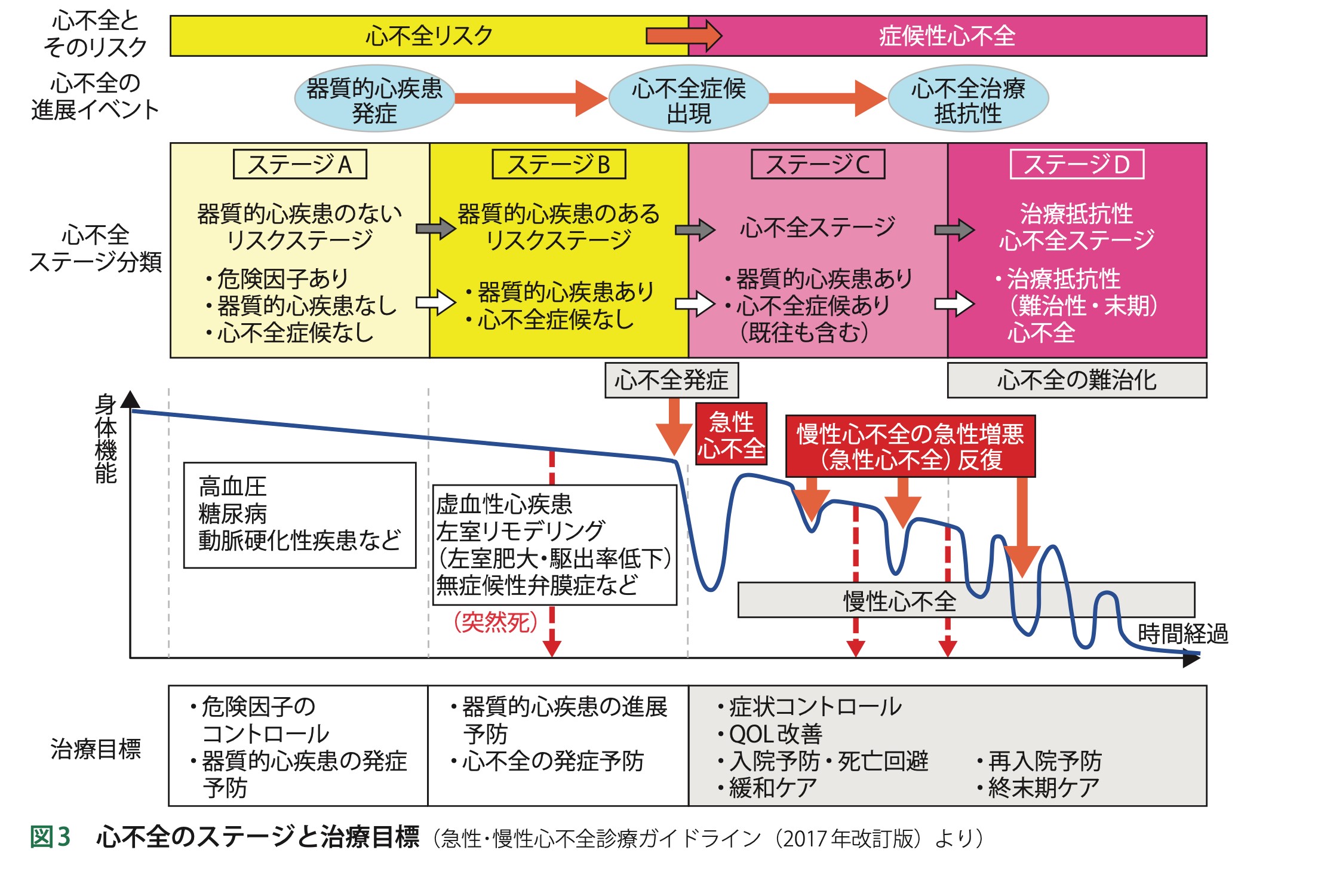 心不全のステージと治療目的